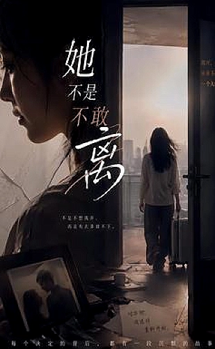 手艺人的四季海报